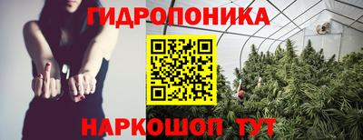альфа пвп Новокубанск