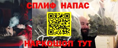 альфа пвп Новокубанск