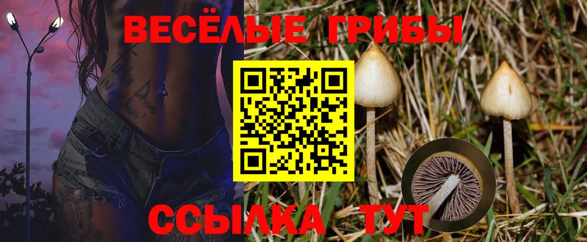 где найти   Псилоцибиновые грибы мухоморы  Вход с VPN  Северск 